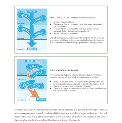 Detailed & Illustrated