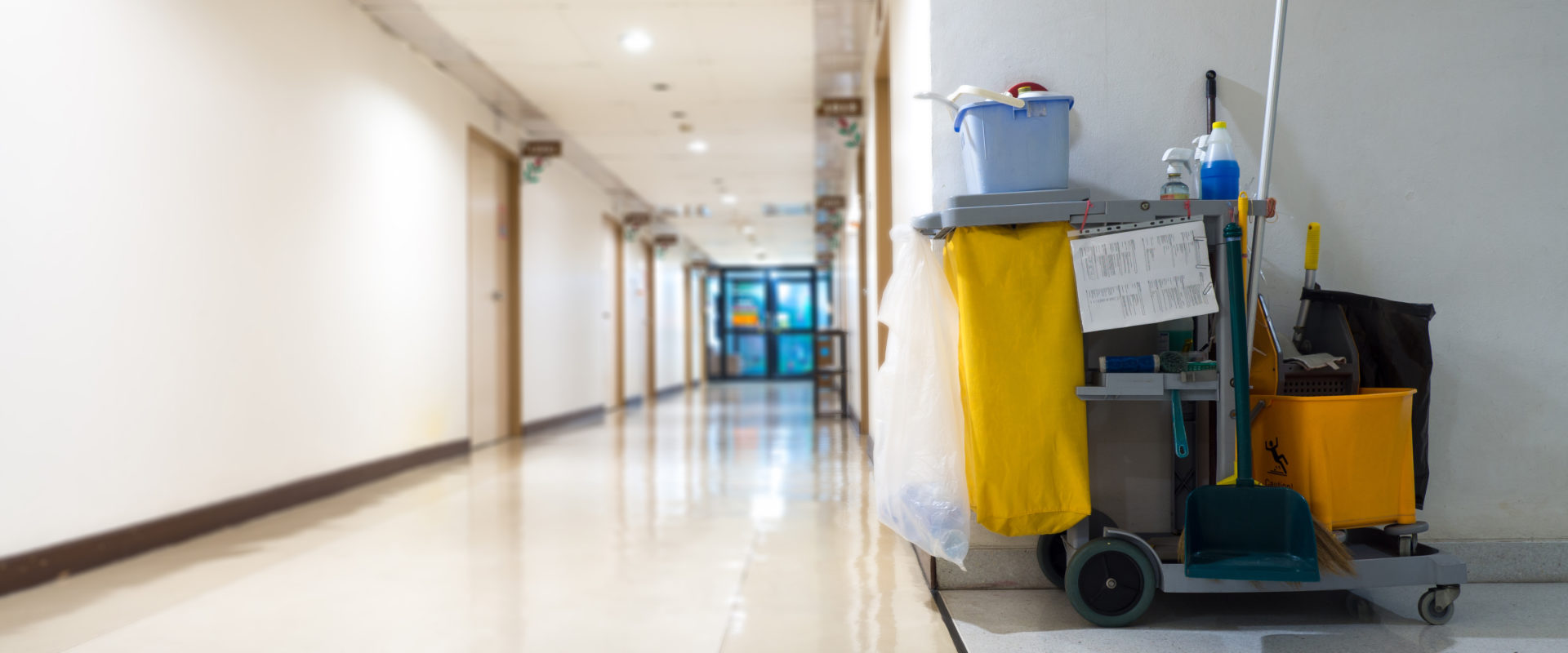 Cleaning Masterclass Health & Safety Training for Cleaners and