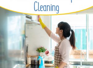 Professional Domestic Cleaning and Housekeeping